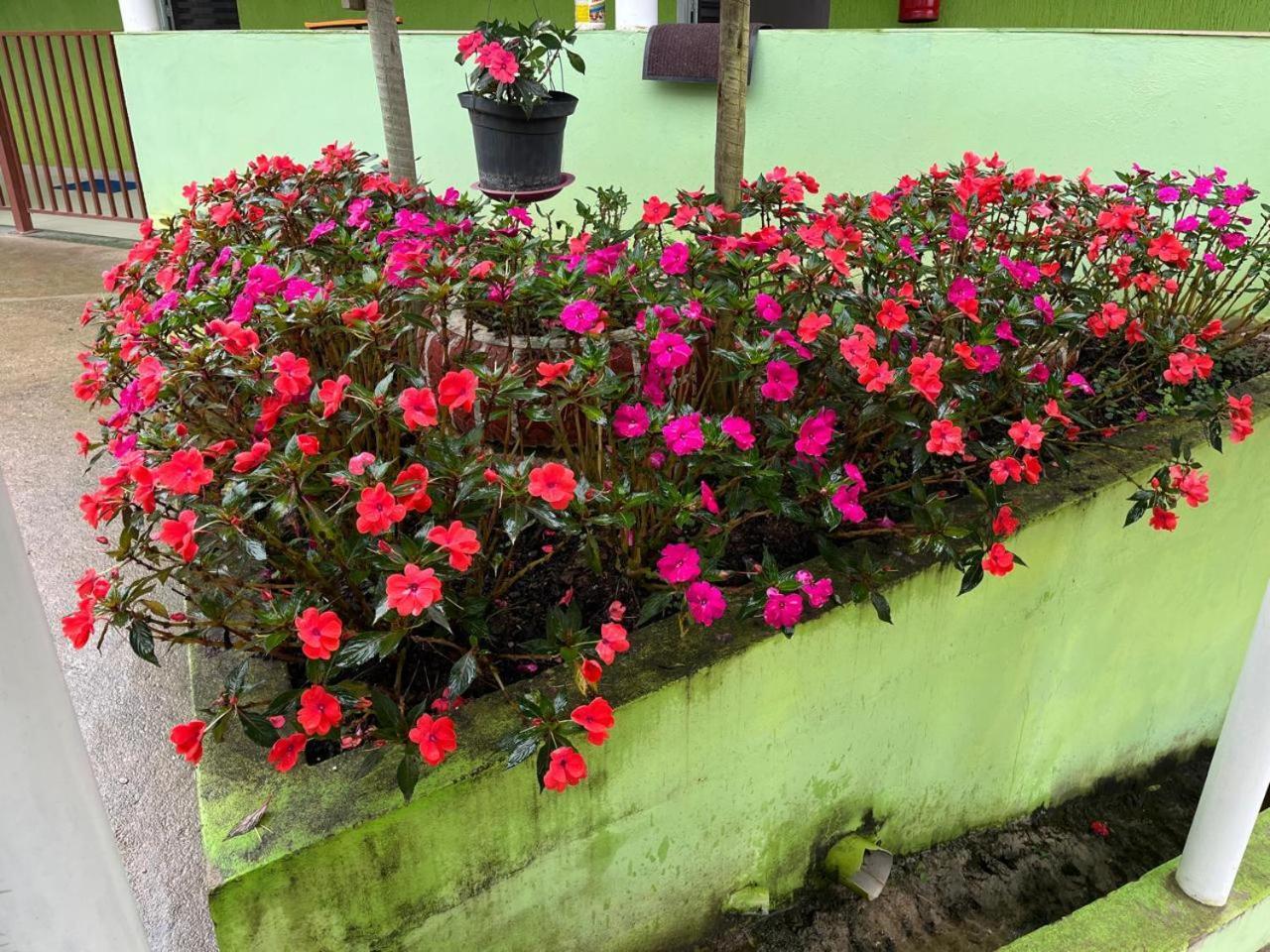 Pesqueiro Restaurante E Pousada Pingo De Ouro Piedade  Eksteriør bilde